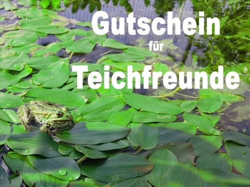 Gutschein 60€